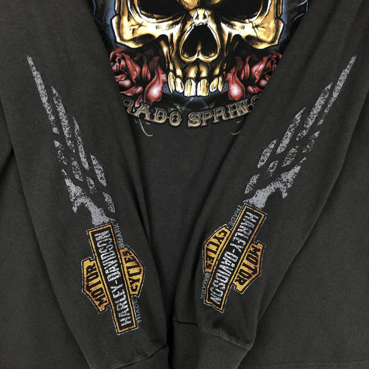 Harley-Davidson Skull Pattern Long T-shirt, Men's L size cotton Charcoal Vintage Second Hand