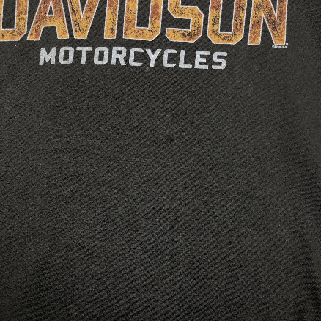 Harley-Davidson Skull Pattern Long T-shirt, Men's L size cotton Charcoal Vintage Second Hand