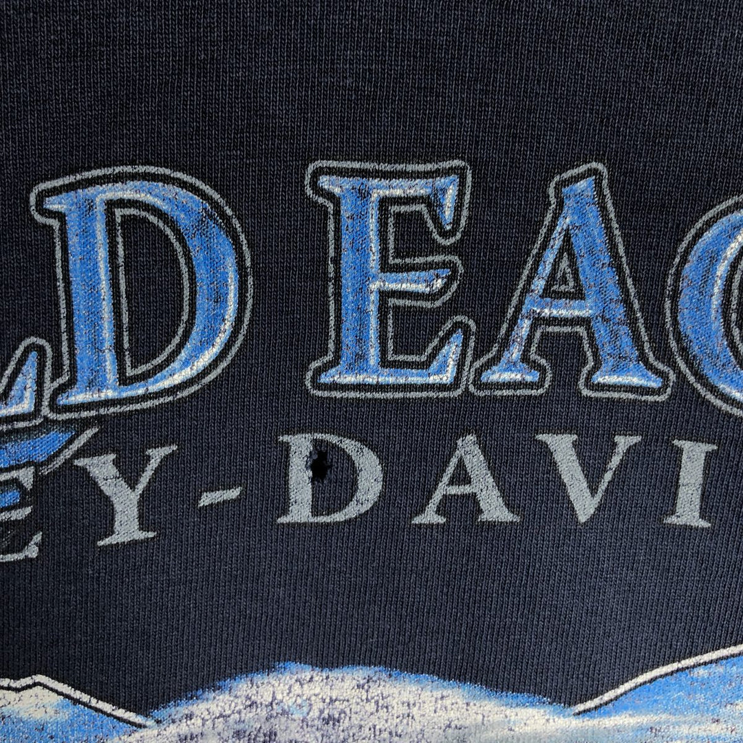 2000'S Harley-Davidson Eagle Pattern Tribal Motorcycle Long-Sleeve T-Shirt (Men's Size L) unclear navy blue type Vintage Second Hand
