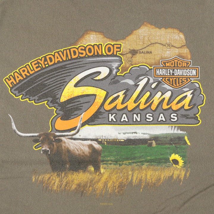 2000'S Harley-Davidson Eagle Pattern Sleeveless Motorcycle T-Shirt, Made in USA, Men's Size XL (approx.) cotton Khaki type Vintage Second Hand
