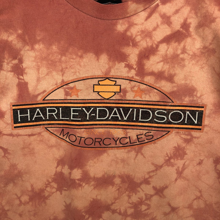Harley-Davidson Tie-Dye Pattern Motorcycle T-Shirt, Made in USA, Men's Size XL (approx.) cotton orange type Vintage Second Hand