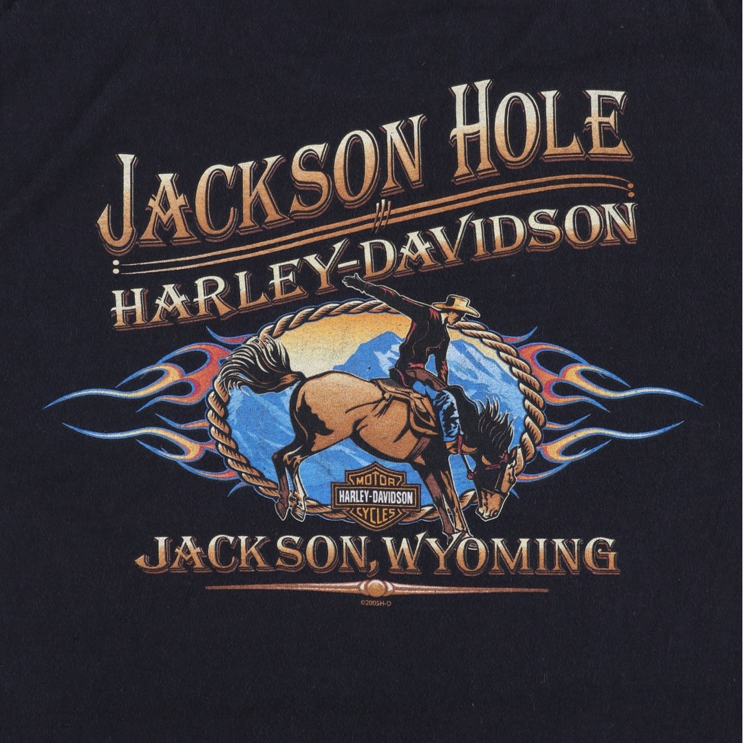 00'S Harley-Davidson Motorcycle Bike T-shirt Men's L size unclear black type Vintage Second Hand