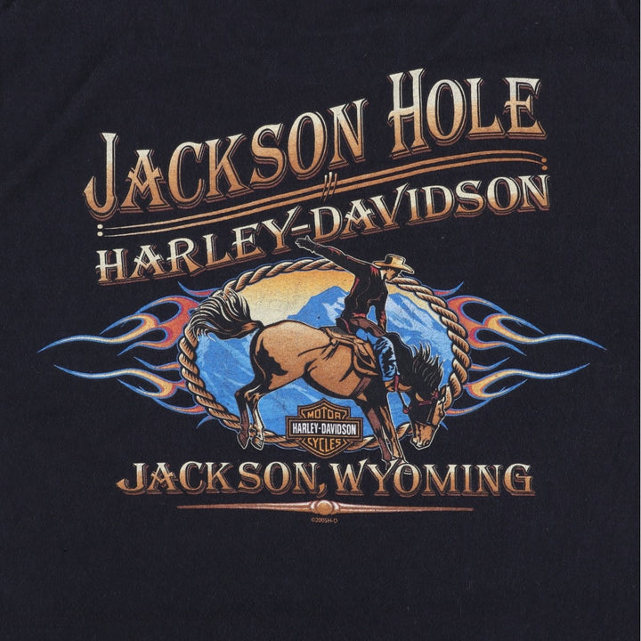 00'S Harley-Davidson Motorcycle Bike T-shirt Men's L size unclear black type Vintage Second Hand