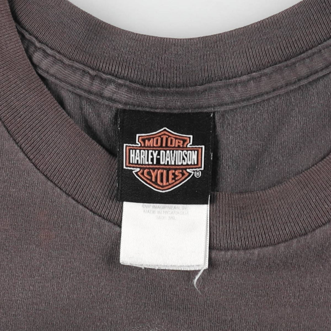 Big size Harley-Davidson motorcycle bike T-shirt for men, equivalent to XXXL cotton Charcoal Vintage Second Hand