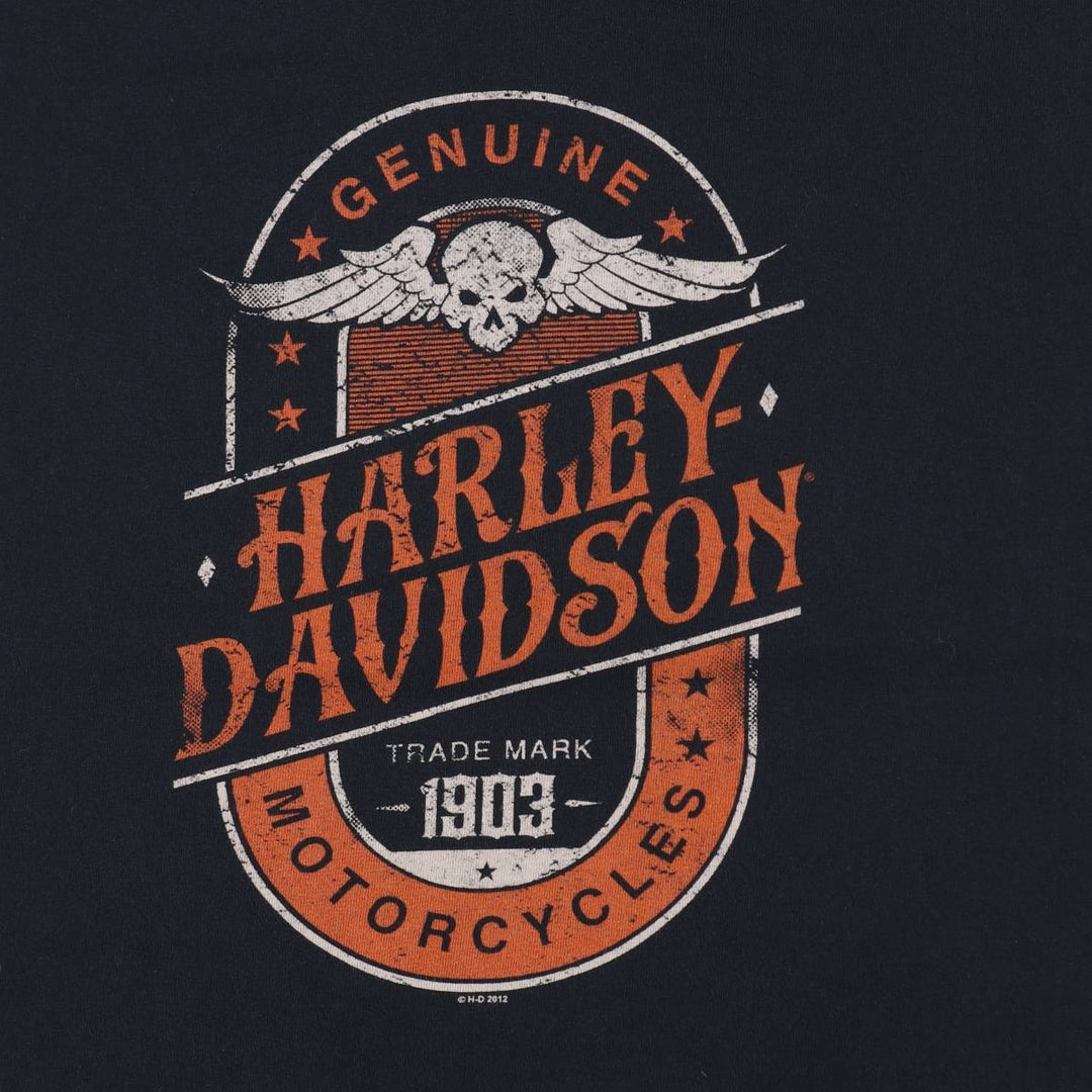 Harley-Davidson Skull Pattern Skull Wing Motorcycle Bike T-shirt Men's L size cotton black type Vintage Second Hand
