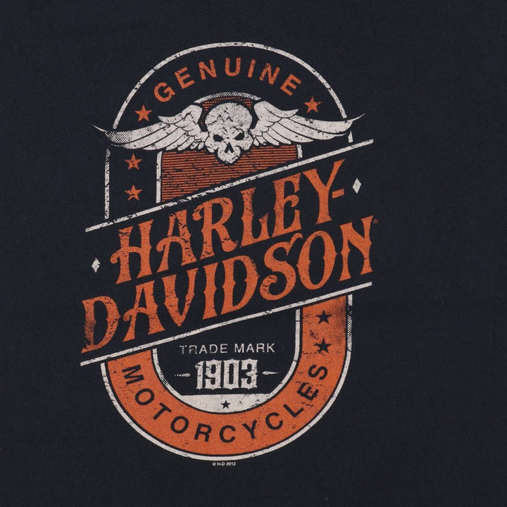 Harley-Davidson Skull Pattern Skull Wing Motorcycle Bike T-shirt Men's L size cotton black type Vintage Second Hand