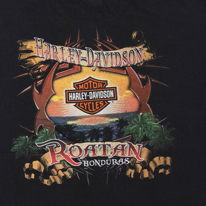 Harley-Davidson Motorcycle Bike T-shirt, Men's XXL cotton black type Vintage Second Hand