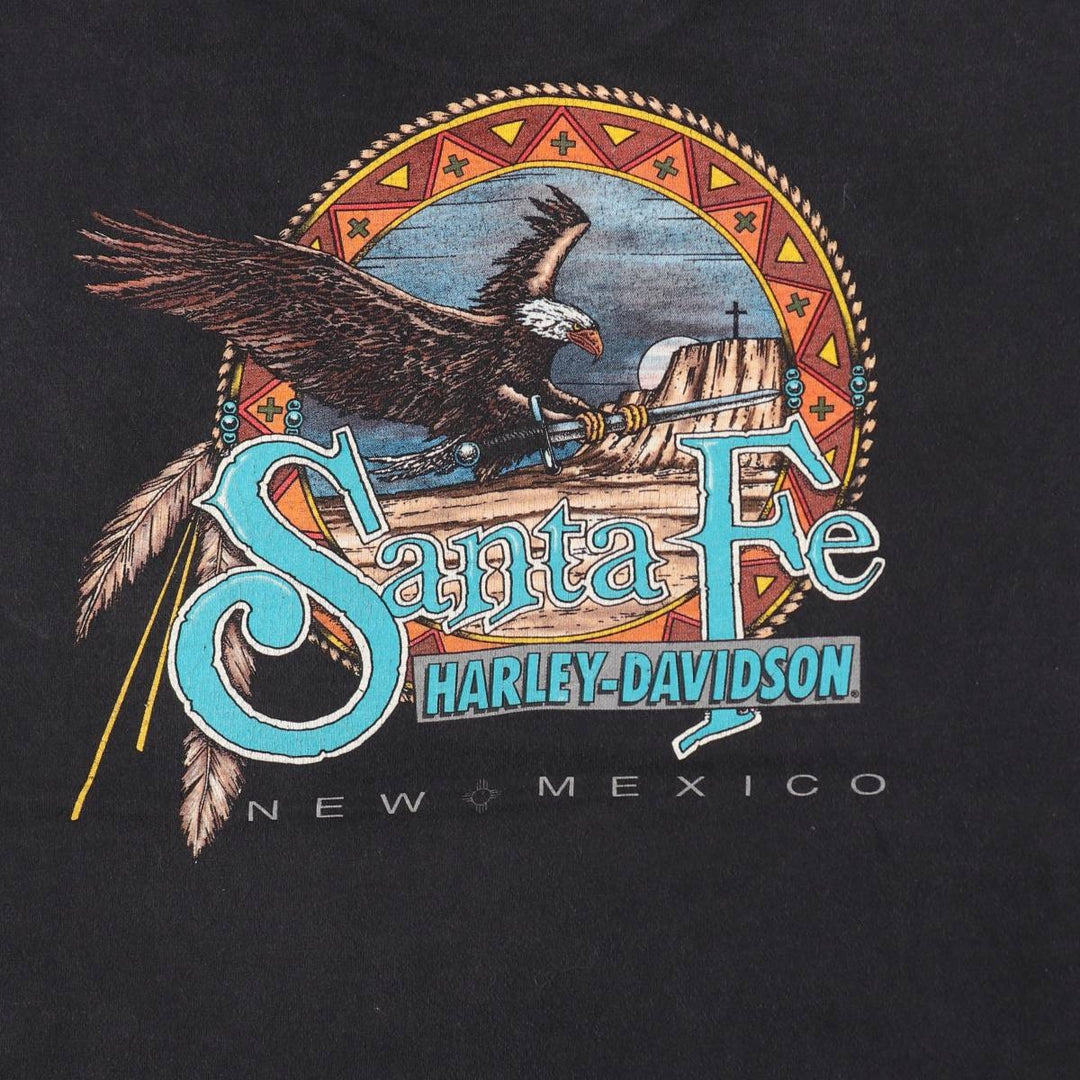 90'S Harley-Davidson Hanes BEEFY-T Eagle Pattern Motorcycle T-Shirt, Made in USA, Men's XL equivalent. cotton black type Vintage Second Hand