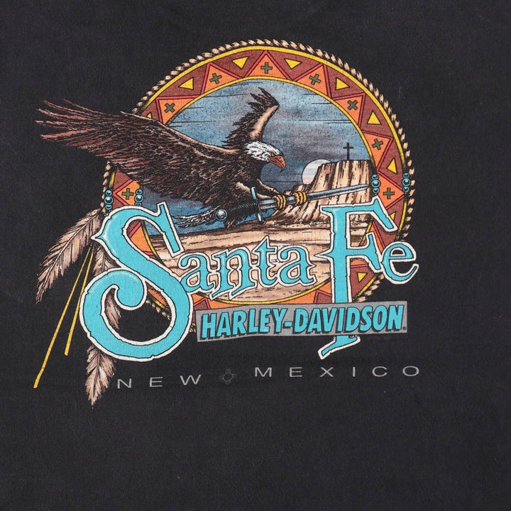 90'S Harley-Davidson Hanes BEEFY-T Eagle Pattern Motorcycle T-Shirt, Made in USA, Men's XL equivalent. cotton black type Vintage Second Hand