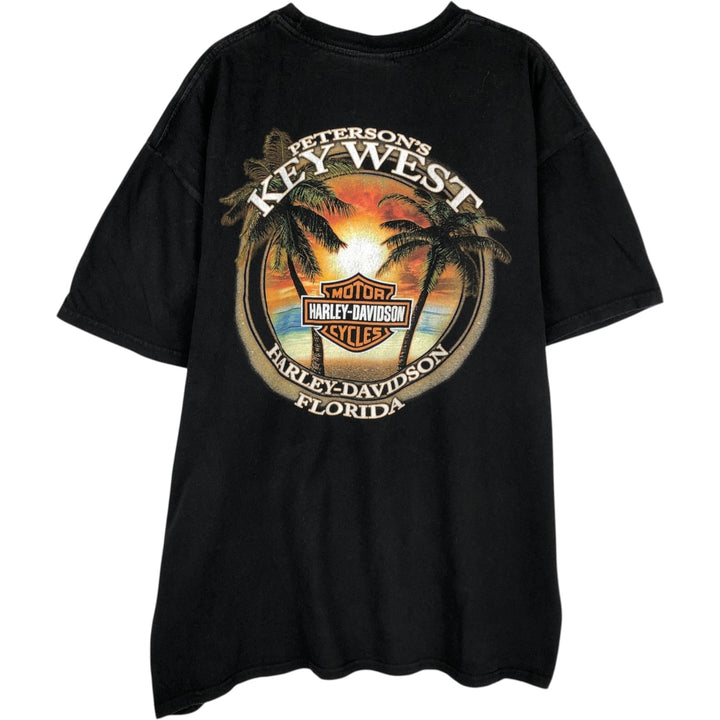 Harley-Davidson Motorcycle Bike T-shirt, Men's XL size cotton black type Vintage Second Hand