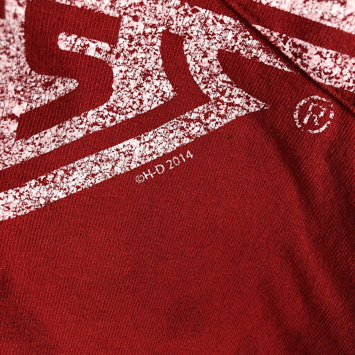 00'S Harley-Davidson Skull Pattern Motorcycle Bike T-shirt Men's L size cotton red type Vintage Second Hand