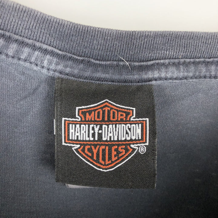 Harley-Davidson Skull Pattern with Wings, Motorcycle T-Shirt, Men's, Size XL cotton Charcoal Vintage Second Hand