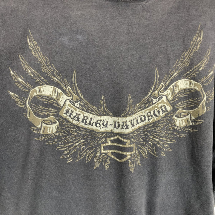 Harley-Davidson Skull Pattern with Wings, Motorcycle T-Shirt, Men's, Size XL cotton Charcoal Vintage Second Hand