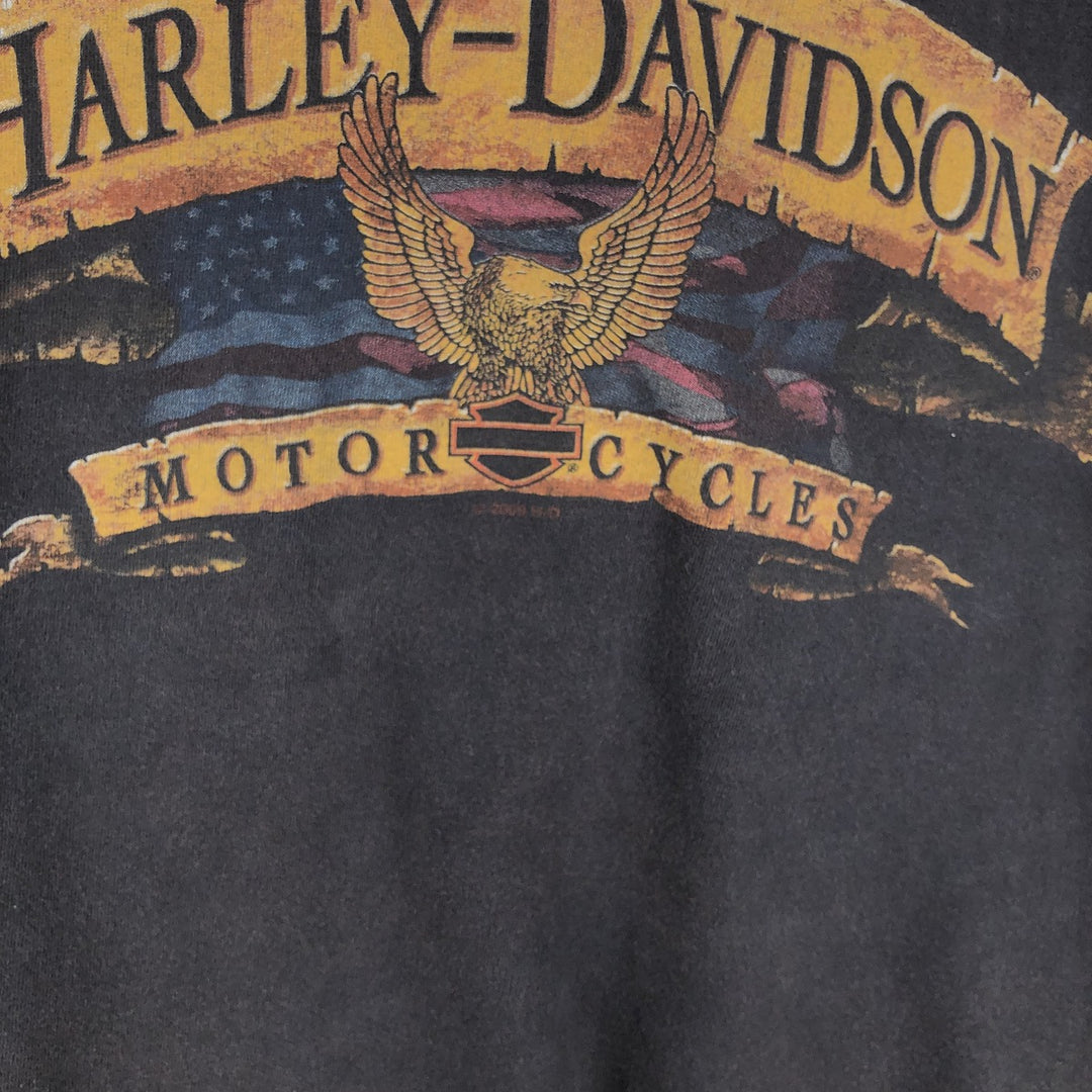 Harley-Davidson Eagle Pattern Motorcycle Bike T-shirt Made in USA Men's L size cotton black type Vintage Second Hand