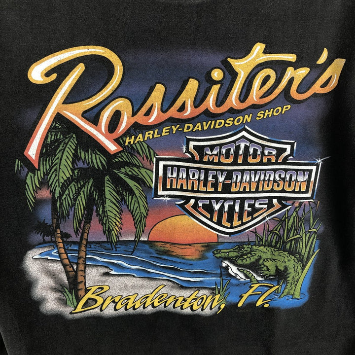 2000'S Harley-Davidson American flag pattern motorcycle bike t-shirt, made in USA, men's size M equivalent. cotton Charcoal Vintage Second Hand