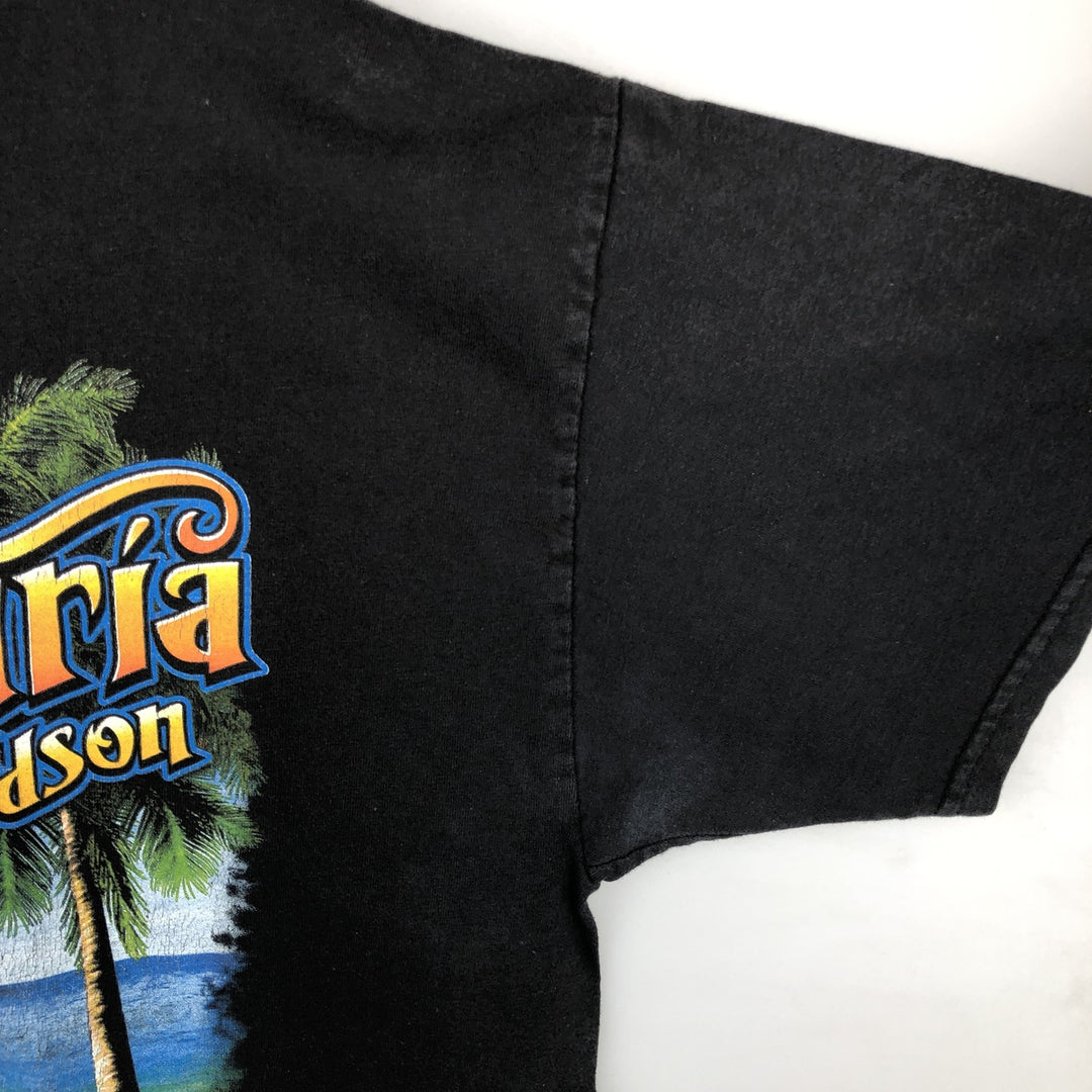 Harley-Davidson Motorcycle Bike T-shirt, Men's Size L cotton black type Vintage Second Hand