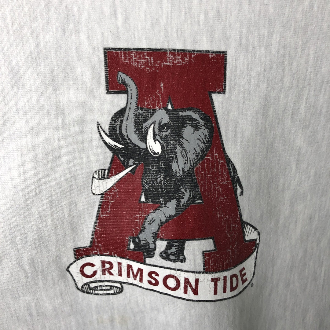 Champion Reverse Weave College Character Sweatshirt, Men's Size L unclear gray type Vintage Second Hand