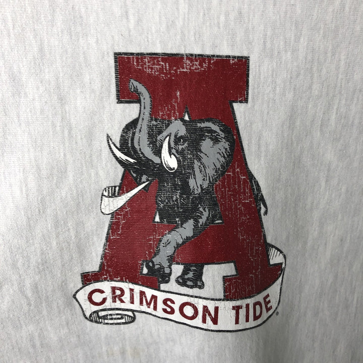 Champion Reverse Weave College Character Sweatshirt, Men's Size L unclear gray type Vintage Second Hand