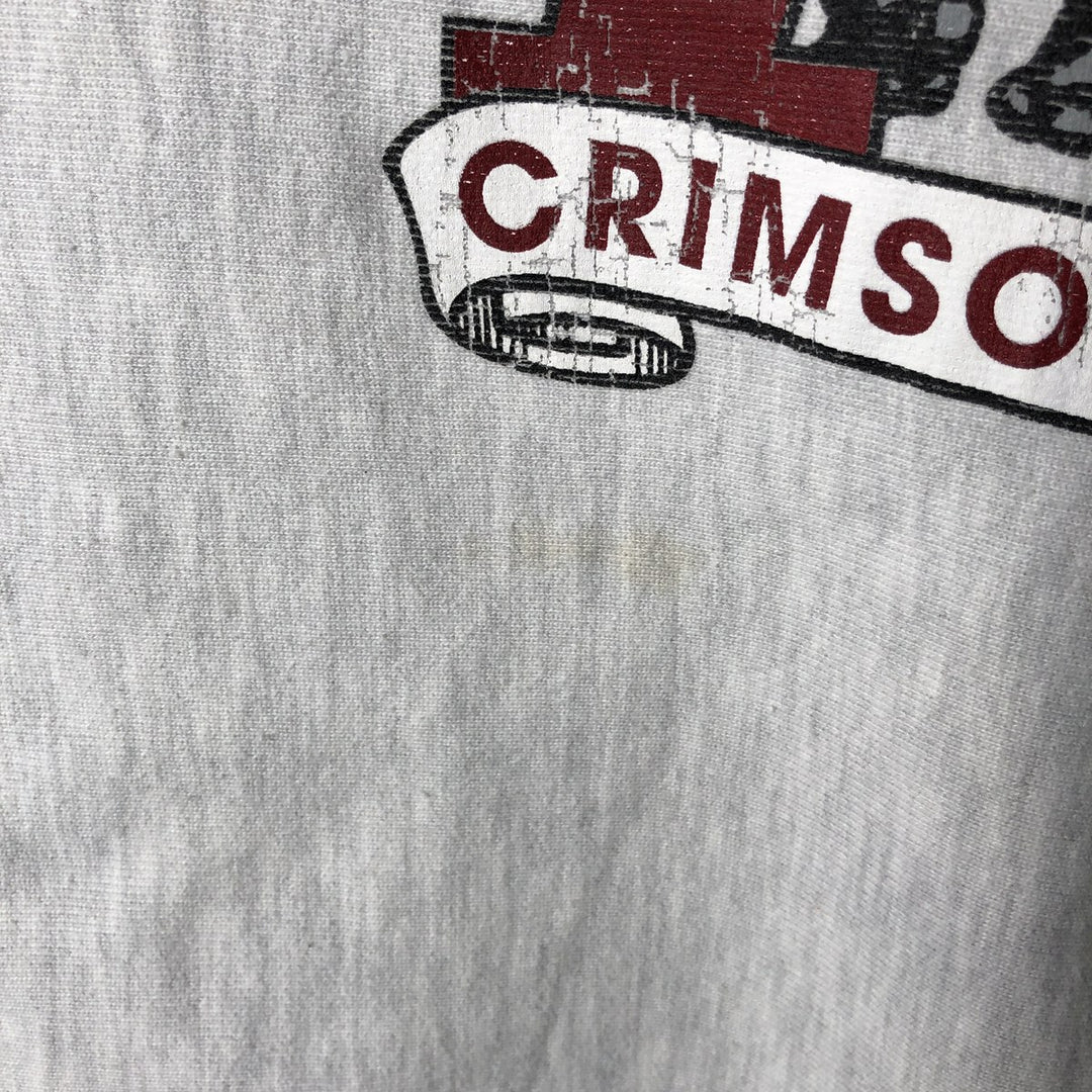 Champion Reverse Weave College Character Sweatshirt, Men's Size L unclear gray type Vintage Second Hand