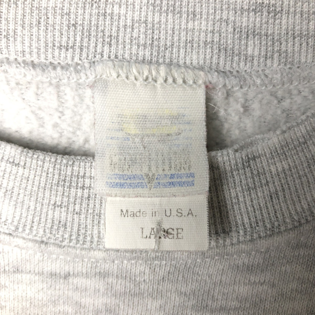 Vintage '90'S NFL Carolina Panthers triple-print sweatshirt, made in the USA, men's size L cotton gray type Vintage Second Hand