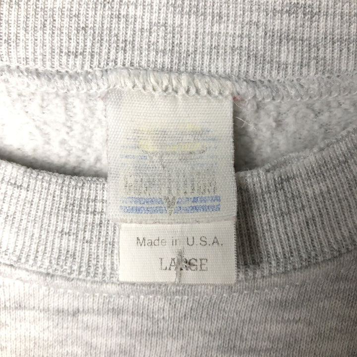 Vintage '90'S NFL Carolina Panthers triple-print sweatshirt, made in the USA, men's size L cotton gray type Vintage Second Hand