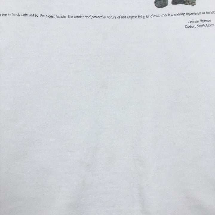 90'S Murina Elephant Pattern Animal T-Shirt, Made in USA, Men's Size L (Equivalent), Vintage cotton white type Vintage Second Hand