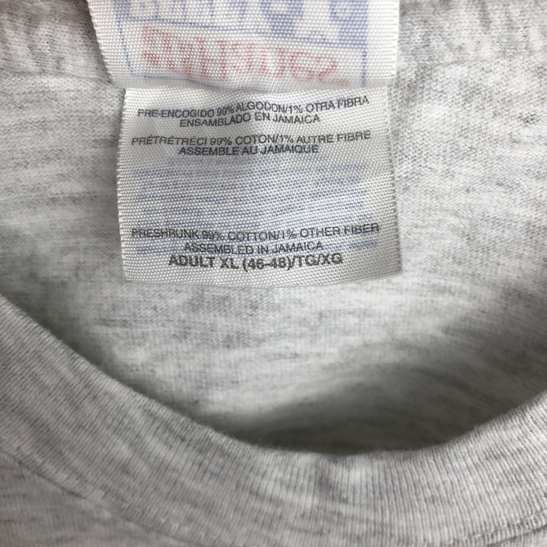 Hanes BEEFY-T Blue Tag Character Print T-Shirt, Men's XL equivalent, DISNEYLAND Chip and Dale cotton gray type Vintage Second Hand