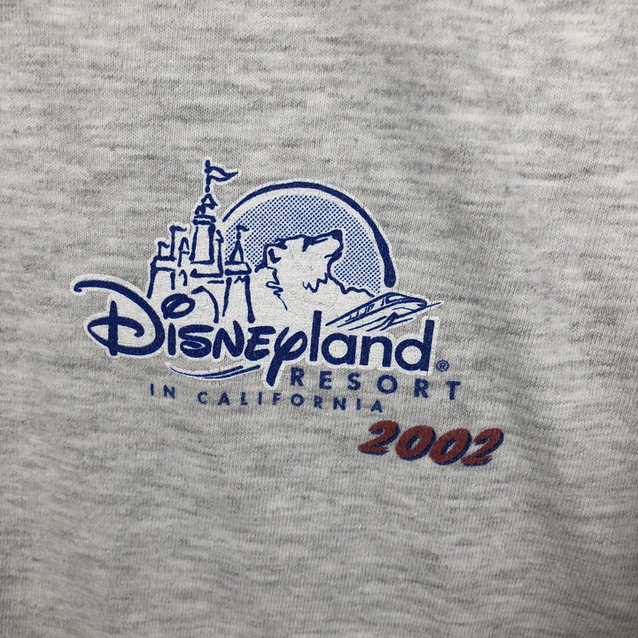 Hanes BEEFY-T Blue Tag Character Print T-Shirt, Men's XL equivalent, DISNEYLAND Chip and Dale cotton gray type Vintage Second Hand