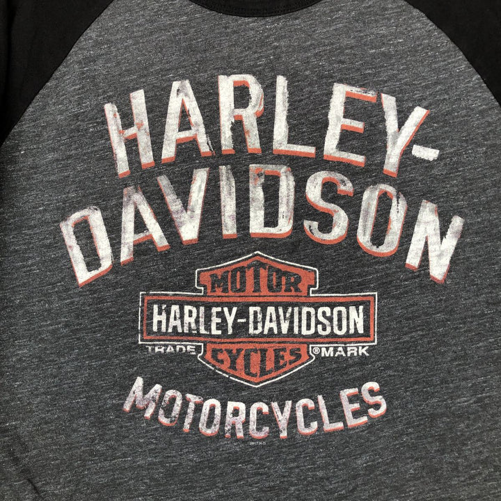 Harley-Davidson Motorcycle Bike T-shirt, Men's XL size cotton black type Vintage Second Hand