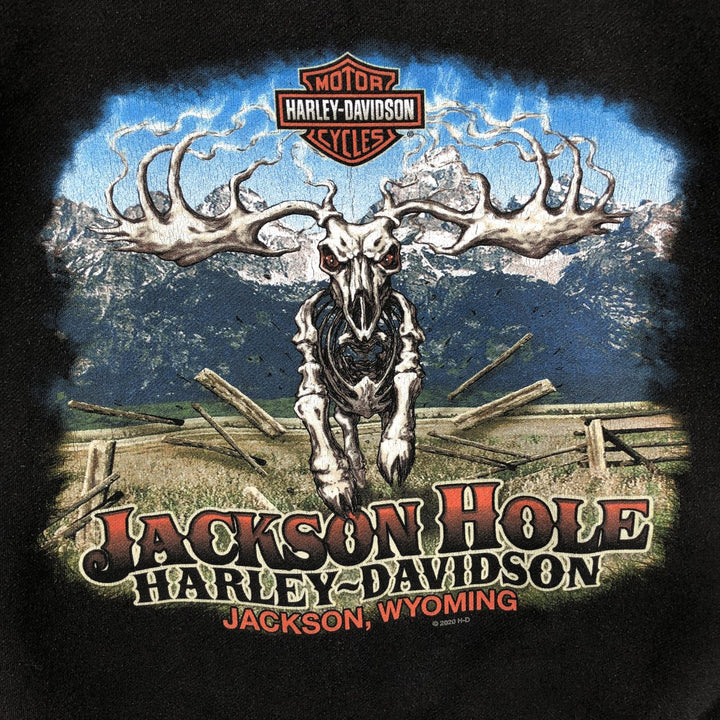 Harley-Davidson Skull Pattern Advertising Sweatshirt Pullover Hoodie (Men's Size S) cotton black type Vintage Second Hand