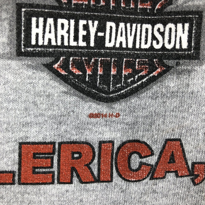 Harley-Davidson Eagle Pattern Advertising Sweatshirt Pullover Hoodie, Men's XXL (approx.) unclear gray type Vintage Second Hand