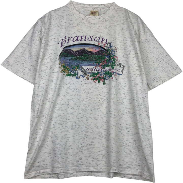90'S Prairie Mountain American Sportwear Printed T-Shirt, Made in USA, Men's XXL equivalent, Vintage cotton gray type Vintage Second Hand