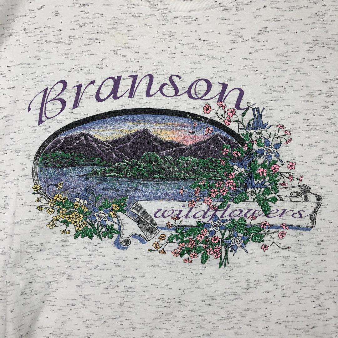 90'S Prairie Mountain American Sportwear Printed T-Shirt, Made in USA, Men's XXL equivalent, Vintage cotton gray type Vintage Second Hand