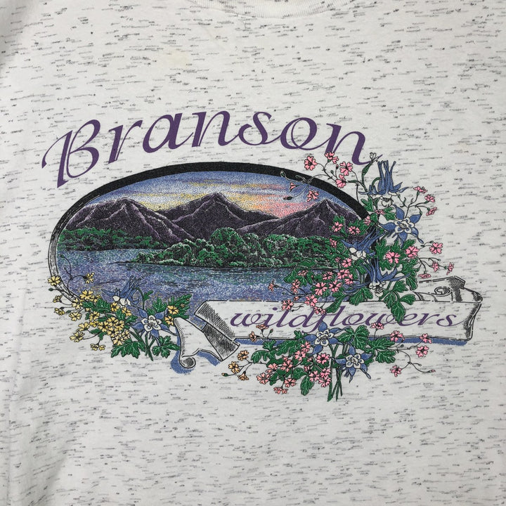 90'S Prairie Mountain American Sportwear Printed T-Shirt, Made in USA, Men's XXL equivalent, Vintage cotton gray type Vintage Second Hand