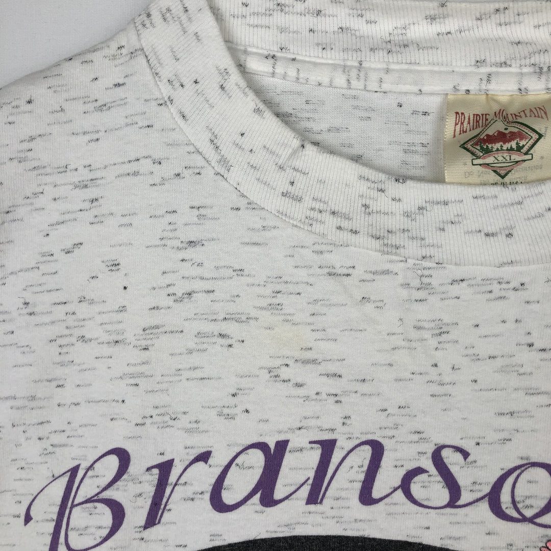 90'S Prairie Mountain American Sportwear Printed T-Shirt, Made in USA, Men's XXL equivalent, Vintage cotton gray type Vintage Second Hand