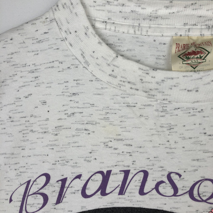 90'S Prairie Mountain American Sportwear Printed T-Shirt, Made in USA, Men's XXL equivalent, Vintage cotton gray type Vintage Second Hand