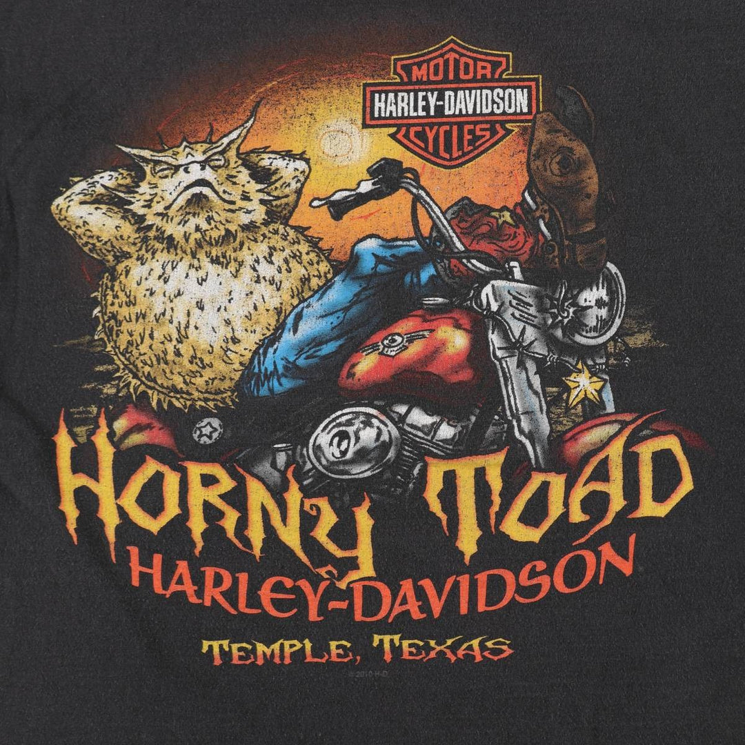 Harley-Davidson Hanes BEEFY-T Motorcycle T-Shirt, Men's Size M (approx.) cotton black type Vintage Second Hand