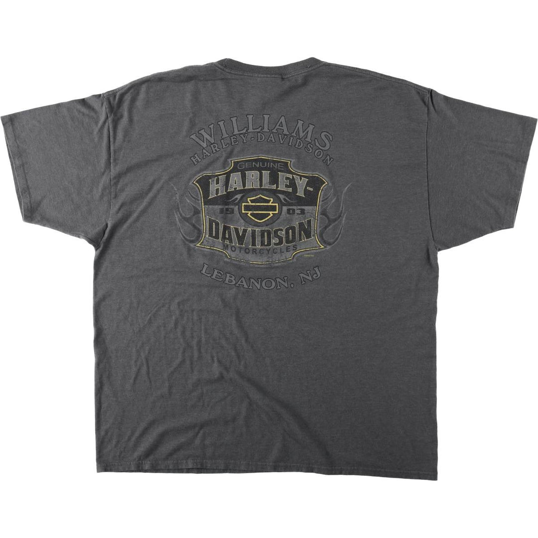 Harley-Davidson Fire Pattern Eagle Design Motorcycle T-Shirt, Men's XXL (approx.) cotton gray type Vintage Second Hand