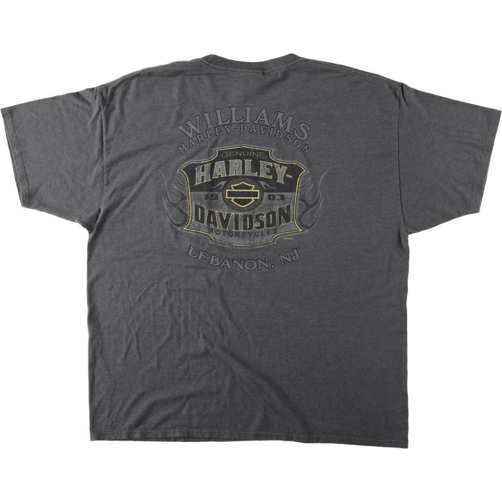 Harley-Davidson Fire Pattern Eagle Design Motorcycle T-Shirt, Men's XXL (approx.) cotton gray type Vintage Second Hand