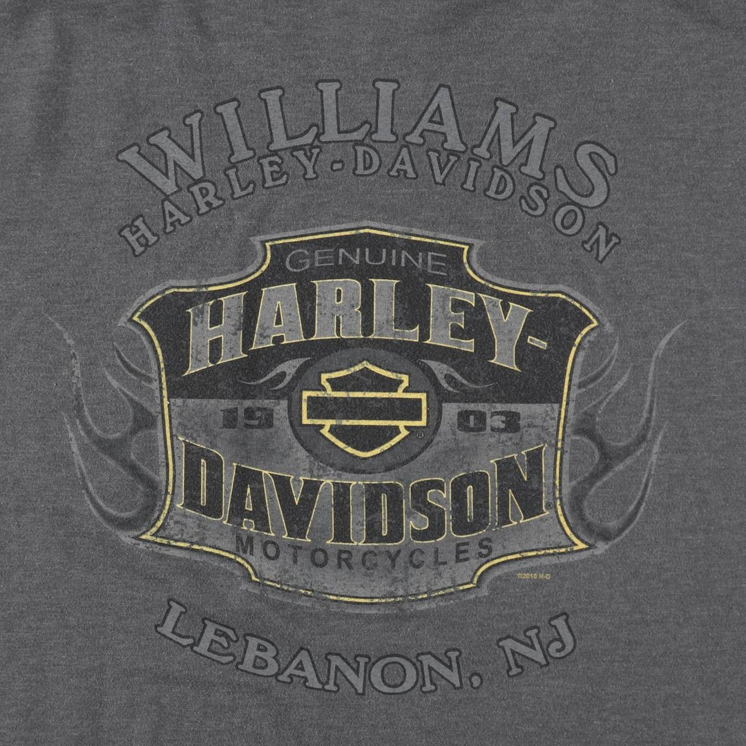 Harley-Davidson Fire Pattern Eagle Design Motorcycle T-Shirt, Men's XXL (approx.) cotton gray type Vintage Second Hand