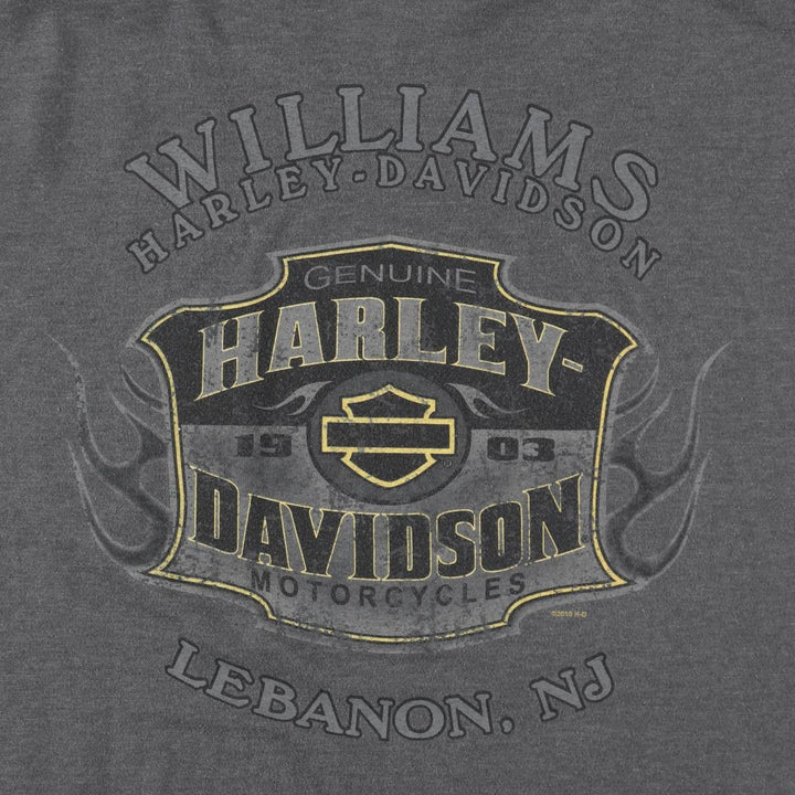 Harley-Davidson Fire Pattern Eagle Design Motorcycle T-Shirt, Men's XXL (approx.) cotton gray type Vintage Second Hand