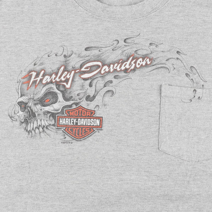 00~S Harley-Davidson Skull Pattern Fire Pattern Motorcycle Bike T-Shirt Men's XL equivalent cotton gray type Vintage Second Hand