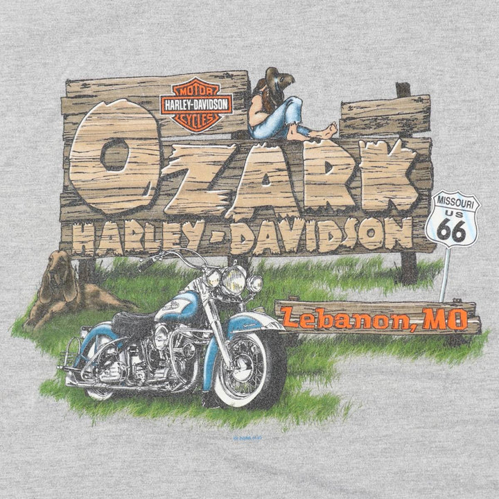 00~S Harley-Davidson Skull Pattern Fire Pattern Motorcycle Bike T-Shirt Men's XL equivalent cotton gray type Vintage Second Hand