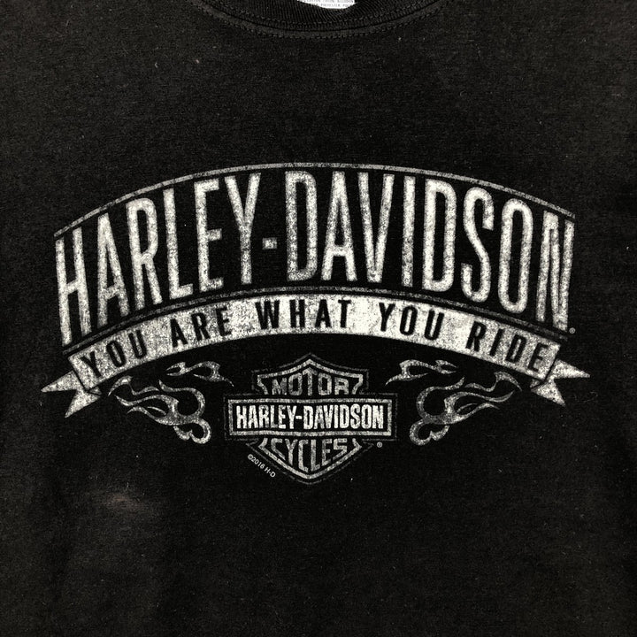Harley-Davidson Hanes X-TEMP Motorcycle T-Shirt, Men's Size XL (approx.) cotton black type Vintage Second Hand