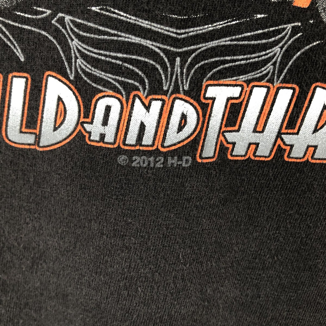 Harley-Davidson Motorcycle Bike T-shirt, Men's XXL cotton Charcoal Vintage Second Hand