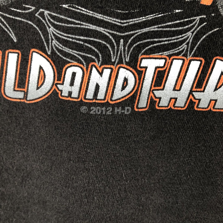 Harley-Davidson Motorcycle Bike T-shirt, Men's XXL cotton Charcoal Vintage Second Hand