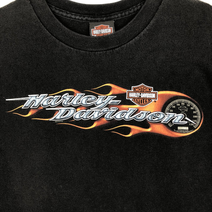 Harley-Davidson Fire Pattern Motorcycle Bike T-Shirt Men's XXL cotton black type Vintage Second Hand