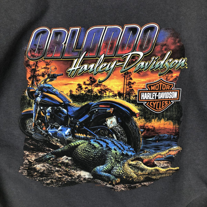 Harley-Davidson Motorcycle Bike T-shirt, Men's Medium cotton gray type Vintage Second Hand