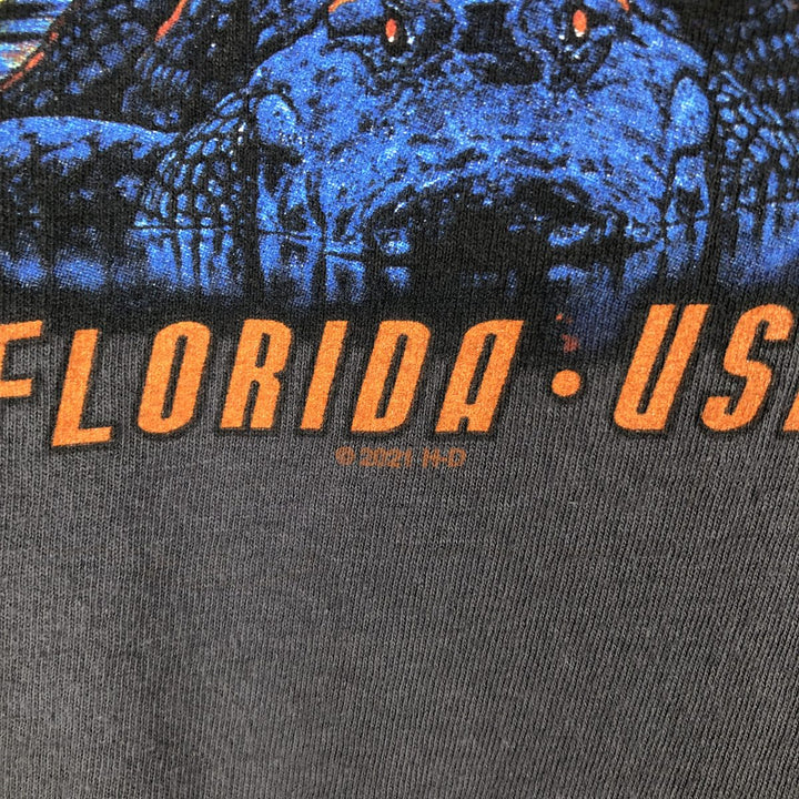 Harley-Davidson Motorcycle Bike T-shirt, Men's Medium cotton gray type Vintage Second Hand