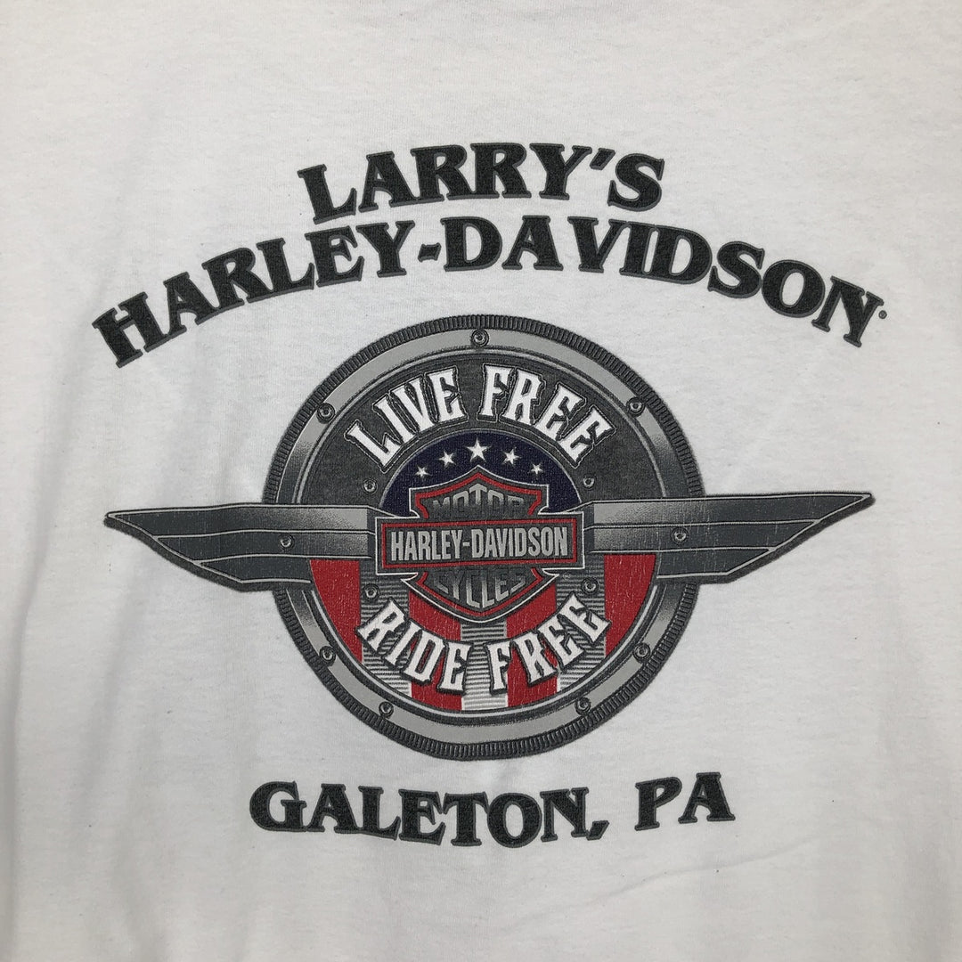 Big Size Harley-Davidson American Flag Pattern Motorcycle T-Shirt, Made in USA, Men's XXXL Equivalent cotton white type Vintage Second Hand